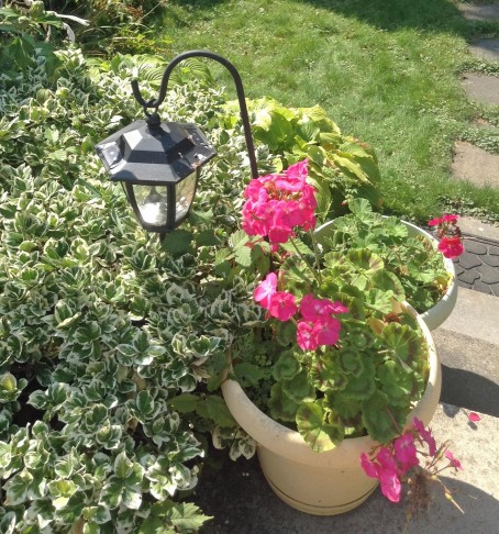 flowerpot
